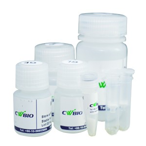 高纯度质粒小提试剂盒（1-5 ml）