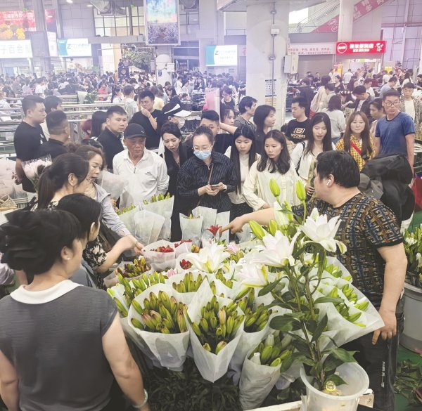 个人配资网 是“美丽产业”，更是“幸福产业”——云南花卉产业一线调查